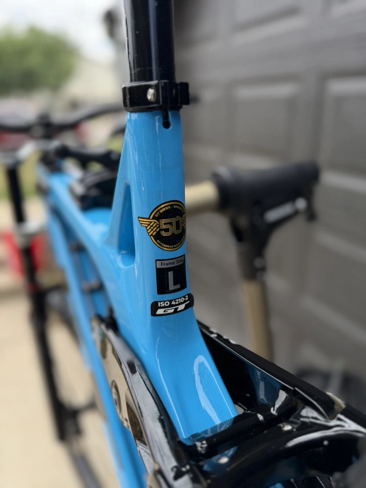 Gt Fury Expert Carbon Downhill Bike Size Large (2022 Model)